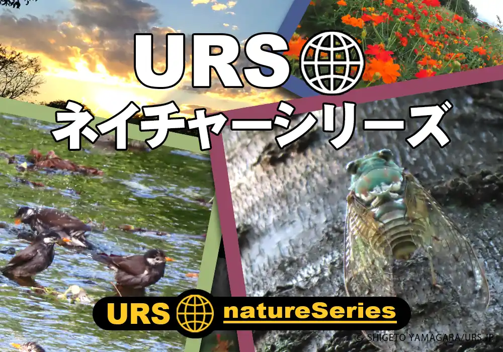 URS･ネイチャシリーズ：動画